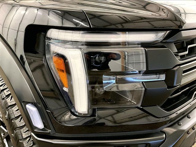 2025 Ford F-150 Raptor Black at Bob Ruth Ford