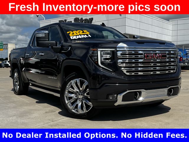 2025 GMC Sierra 1500 Denali - 1