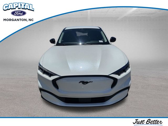New 2026 White Ford Premium image 2