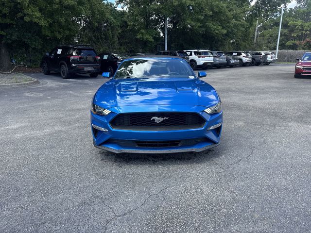 Used 2019 Blue Ford EcoBoost Premium image 2