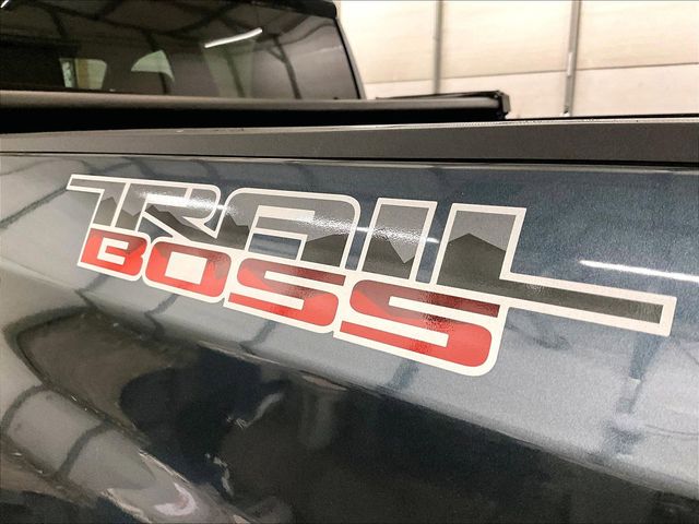 2020 Chevrolet Silverado 1500 Custom Trail Boss Gray at Klick Lewis Buick Chevrolet