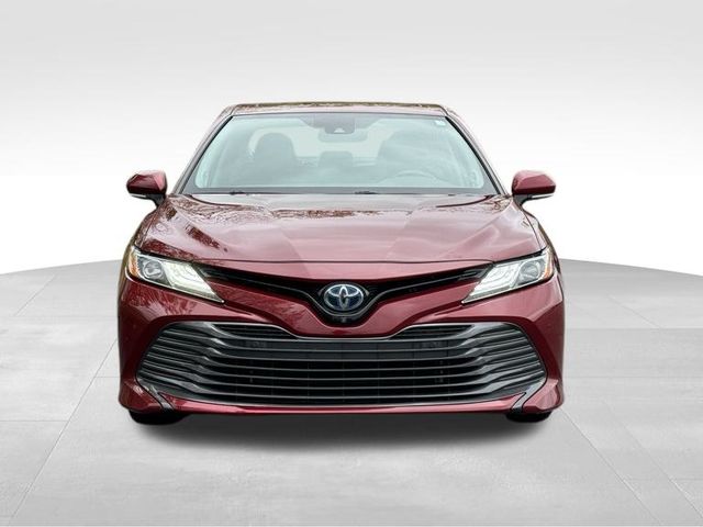 2019 Toyota Camry Hybrid XLE 8