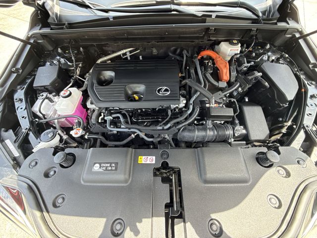 Used 2025 Lexus NX SUV