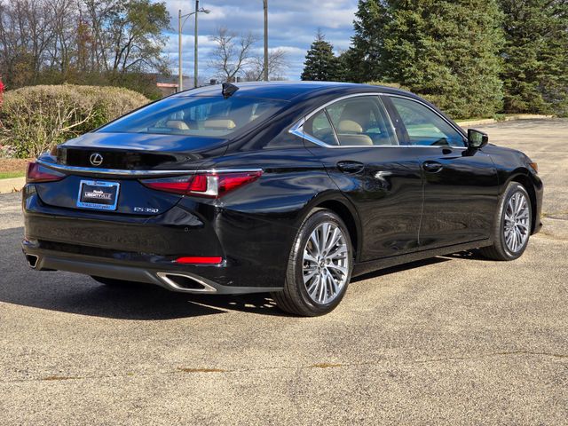 2019 Lexus ES 350 22