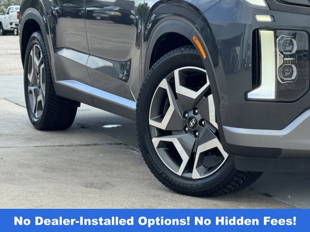 2023 Hyundai Palisade Limited - 10