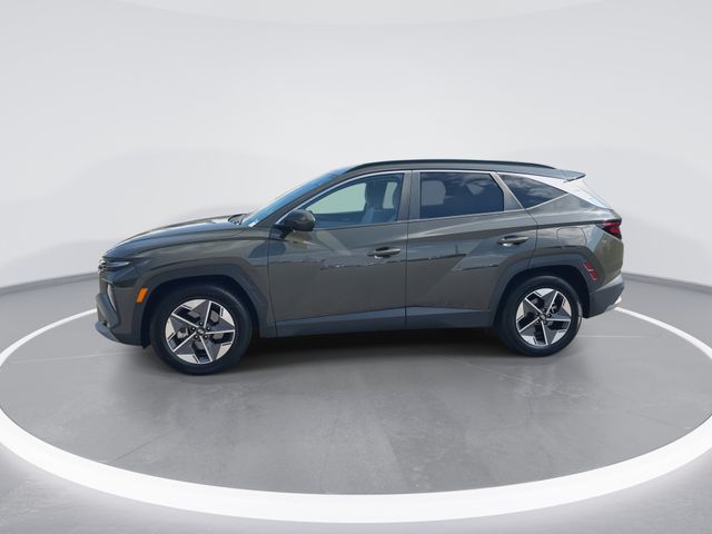 Used 2025 Green Hyundai SEL image 5