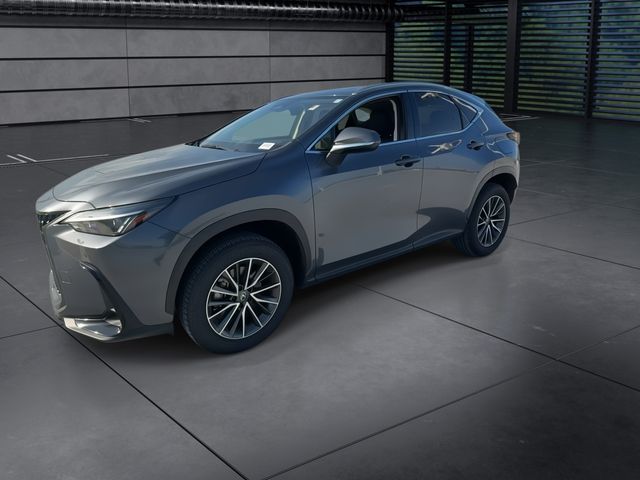 2024 Lexus NX - $40,588