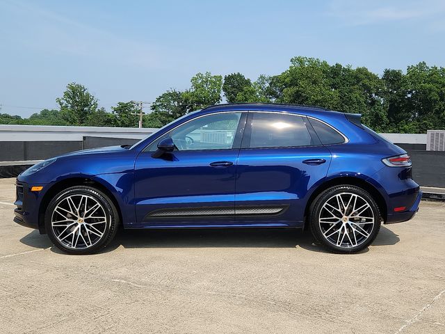 Macan