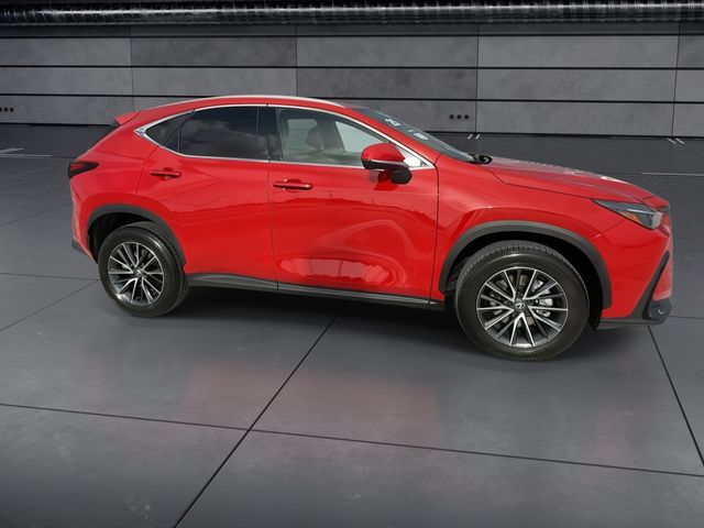2025 Lexus NX - $49,998