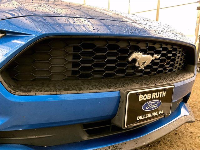 2020 Ford Mustang EcoBoost Blue at Grove City Ford