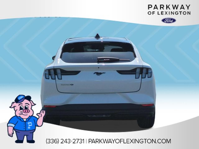New 2026 White Ford Premium image 4