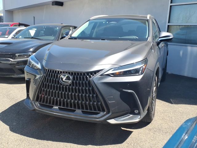 2022 Lexus NX - Image 2