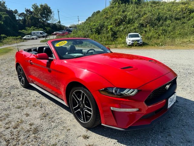 Used 2022 Red Ford EcoBoost Premium image 10
