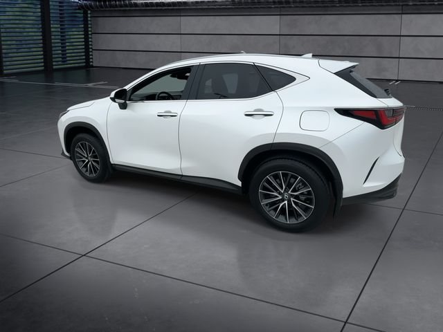 2025 Lexus NX - $41,988