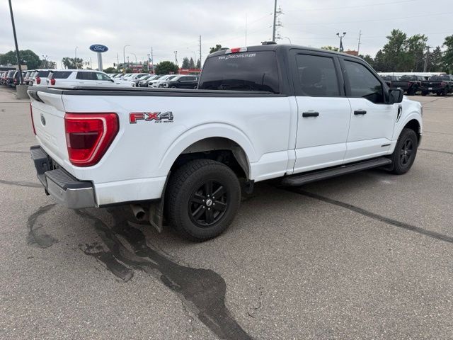 2023 White Ford F-150 XLT 4X4 Truck