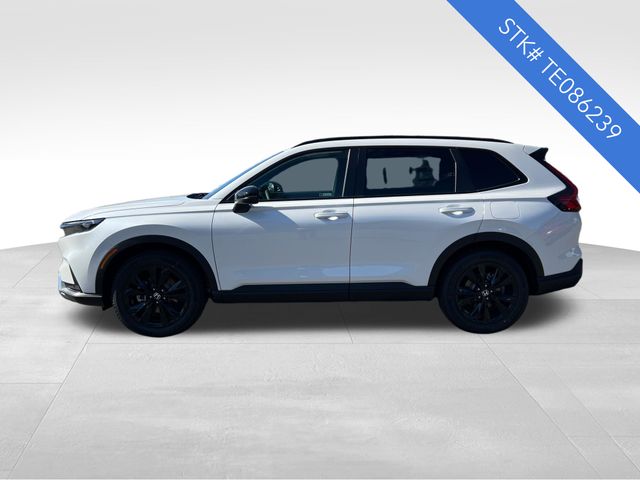 View vehicle photo 4