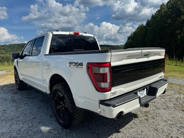 Used 2023 White Ford Platinum image 5