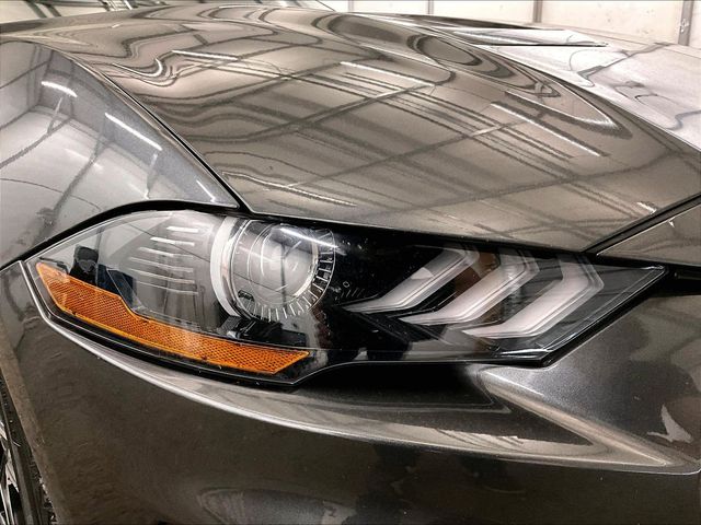 2019 Ford Mustang GT Gray at Grove City Ford