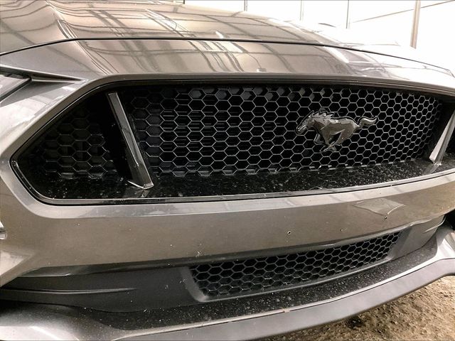 2019 Ford Mustang GT Gray at Grove City Ford