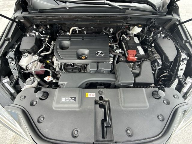 2025 Lexus NX - $41,998