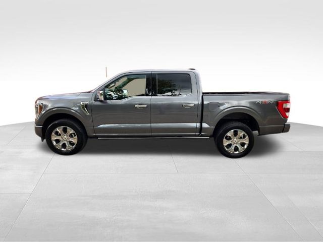 2023 Ford F-150 Platinum 3