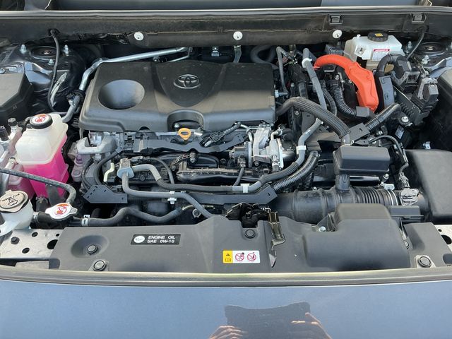 Used 2019 Gray Toyota LE image 24