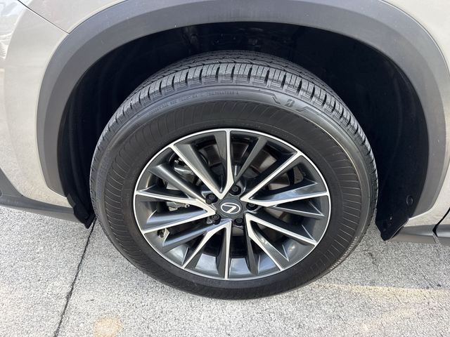 Used 2026 Lexus NX SUV