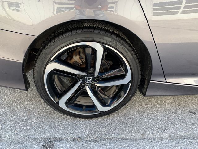 Used 2019 Honda Accord Sedan