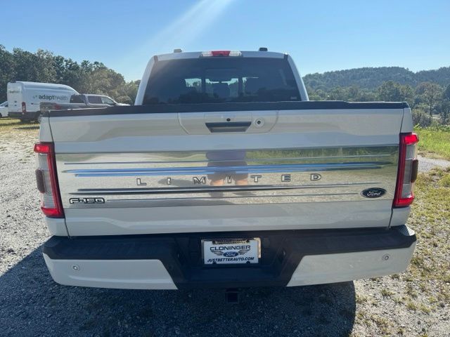 Used 2021 White Ford Limited image 6