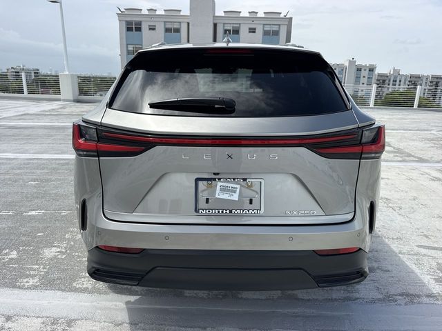 2025 Lexus NX - $40,588