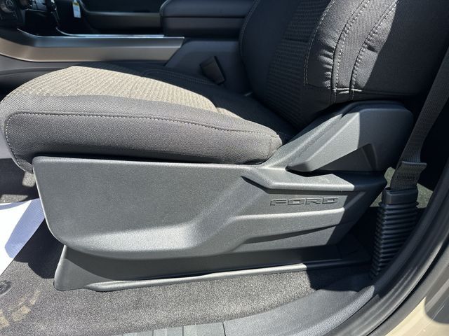 New 2026 Gray Ford STX image 16