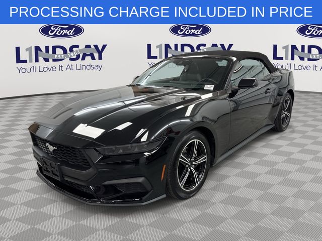 Shadow Black 2025 Ford Mustang Convertible Rear-Wheel Drive Automatic