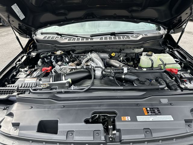 New 2026 Black Ford XL image 19