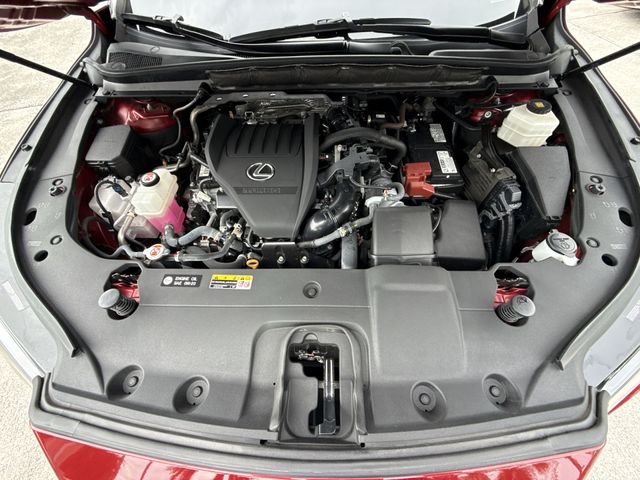 Used 2023 Lexus RX SUV