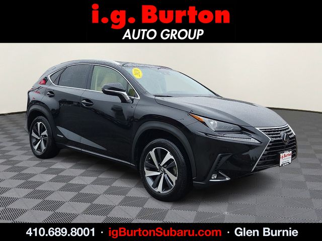 2020 Lexus NX Hybrid 300h AWD