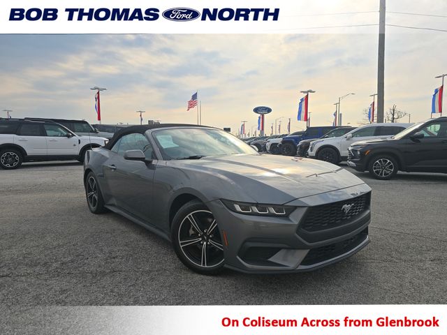 Gray Metallic 2024 Ford Mustang Convertible Rear-Wheel Drive Automatic