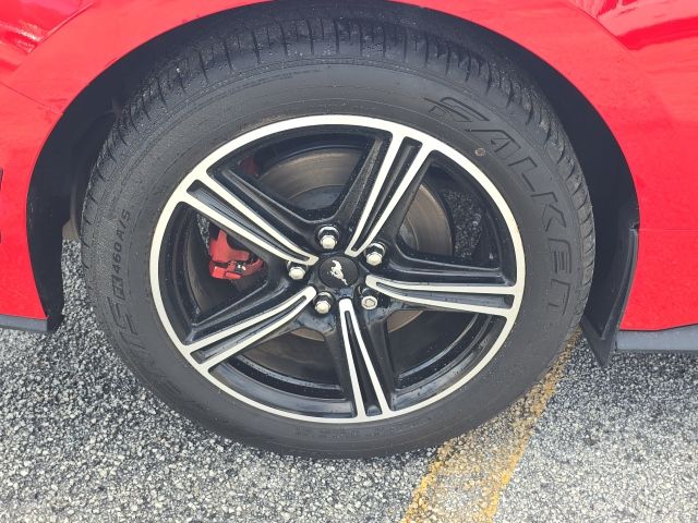 2024 Ford Mustang EcoBoost Premium:B02185