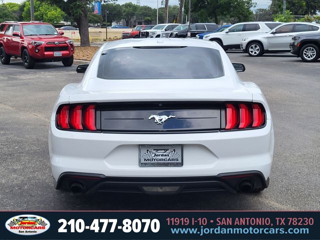 Used Car 2020 Ford Mustang  Ecoboost For Sale Under $20,000 In San Antonio, Texas
