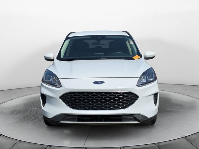 FordEscape8