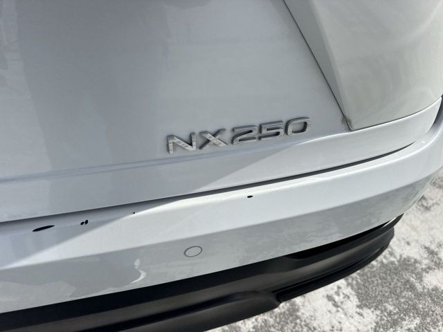 Used 2025 Lexus NX SUV