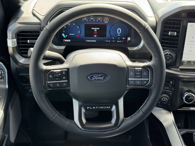 New 2026 Gray Ford Platinum image 14