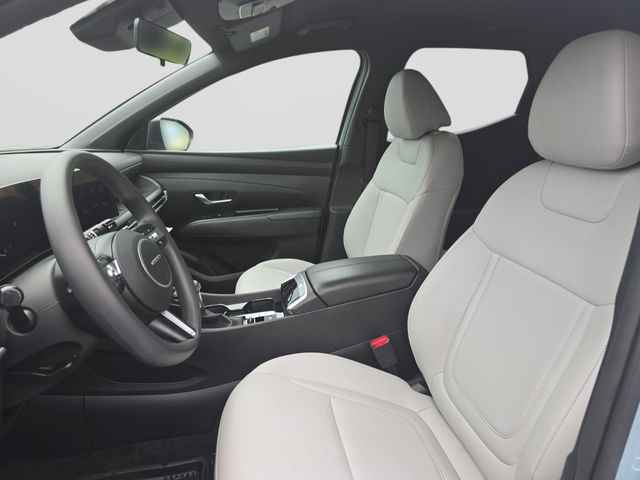 Used 2025 Hyundai Santa Cruz Truck