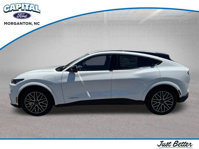 New 2026 White Ford Premium image 6