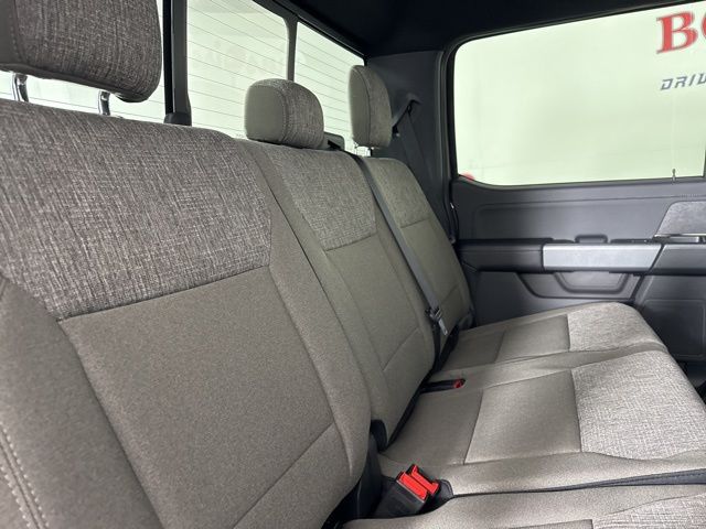 2025 Marsh Gray Ford F-150 XLT 4X4 Truck