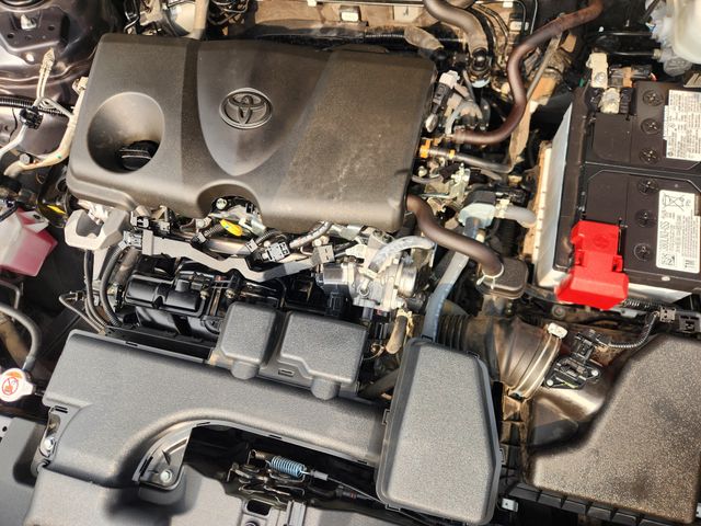 2025 Toyota RAV4 XLE Gray at Don McGill Toyota