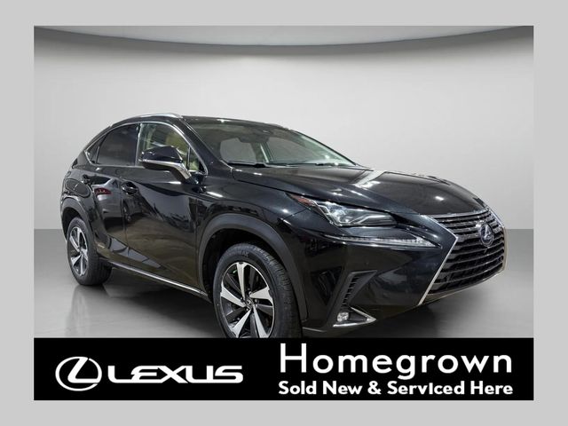 2019 Lexus NX Hybrid 300h AWD