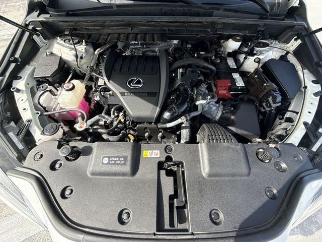 Used 2024 Lexus NX SUV