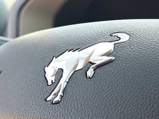 New 2025 Gray Ford Big Bend image 22