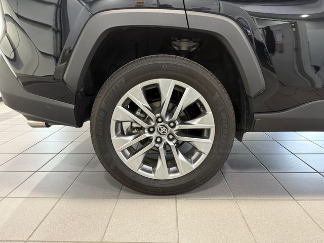 2023 Toyota RAV4 XLE Premium Black at Davis Toyota of Orangeburg