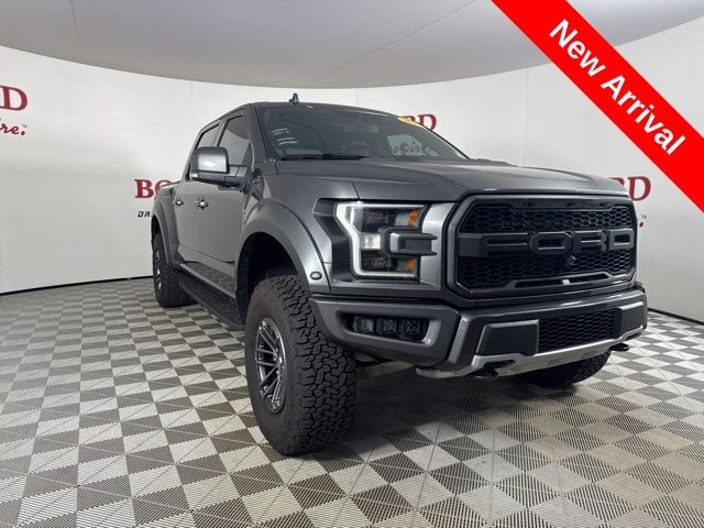 2019 Magnetic Ford F-150 Raptor Truck